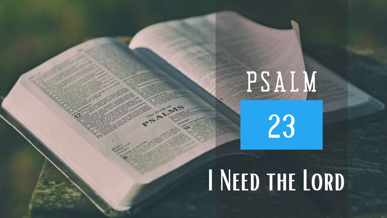 Psalm 23; I need the Lord