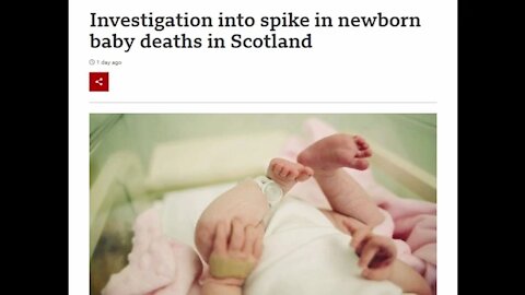 DEAD BABIES _ Hugo Talks