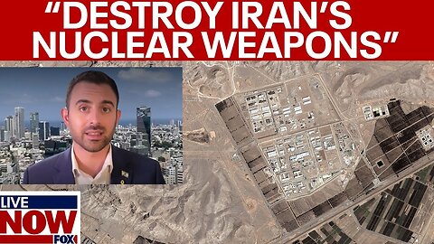 Iran-Israel attack: Eylon Levy discusses Iranian weapons | LiveNOW from FOX