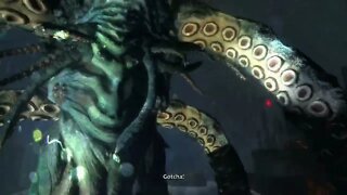 Calamari