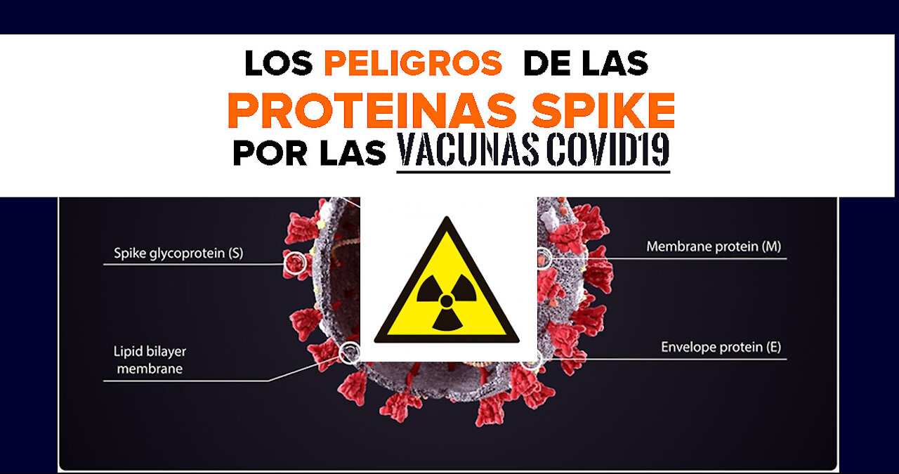 Los peligros de la PROTEINAS SPIKE (PICO) de las vacunas covid19 experimentales