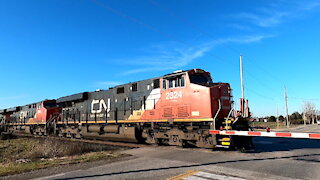 CN 2324 CN 2905 & CN 2285 Locomotives Mixed Freight Eastbound Strathroy Sub