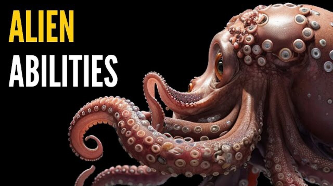 Extreme Abilities Of The Octopus | Explore Unseen #wildlife