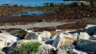 Sitting enjoying a rocky beach ⛱️🏖️⛱️