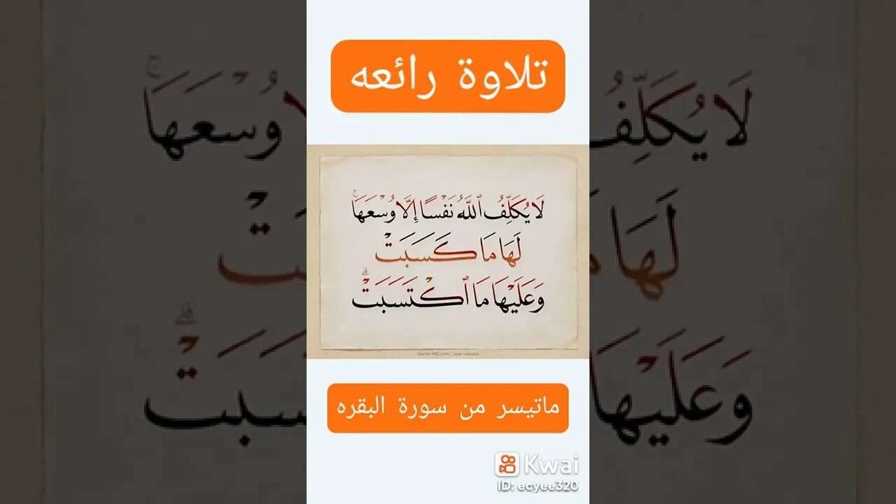 ٦ نوفمبر، ٢٠٢٢