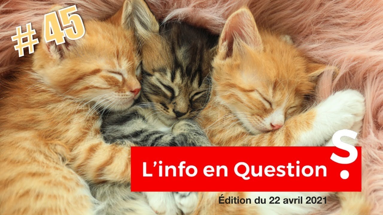 lNF0 en OU3STl0NS #45 – Jeudi 22 avril 2021 - LlVE avec Richard BOUTRY (2h18mn00s)