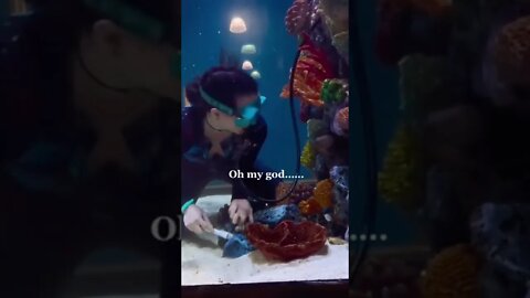 Octopus wants to play with Zookeeper