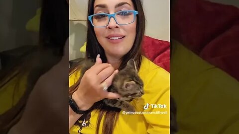 Rescue Kitten Bendi