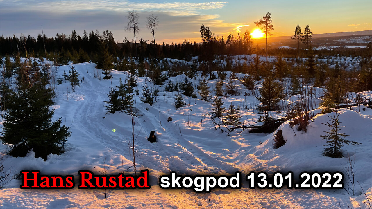Skogpod 13. januar, 2022: De sosiale mediene er gigantiske eksperiment i sosialpsykologisk styring