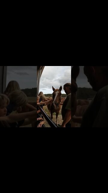 Jeremiah brings Bosco up to the barn 😁