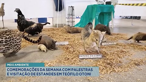 Meio Ambiente: Comemorações da Semana com Palestras e Visitação de Estandes em T. Otoni.