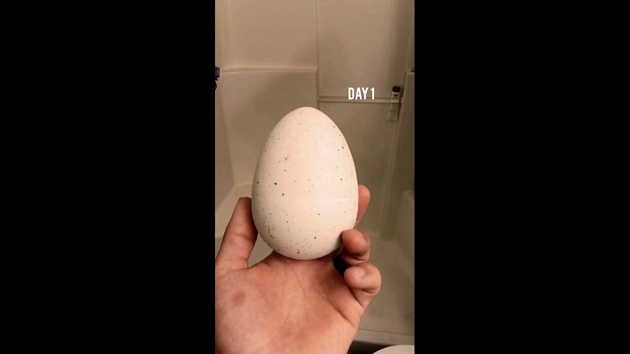 hatching a dinosaur