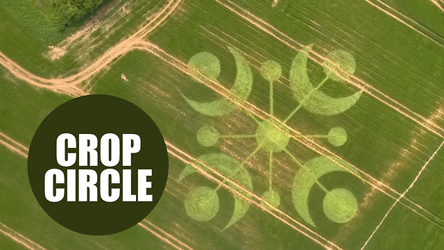 Mysterious travellers visited the English countryside and left behind the biggest crop circle