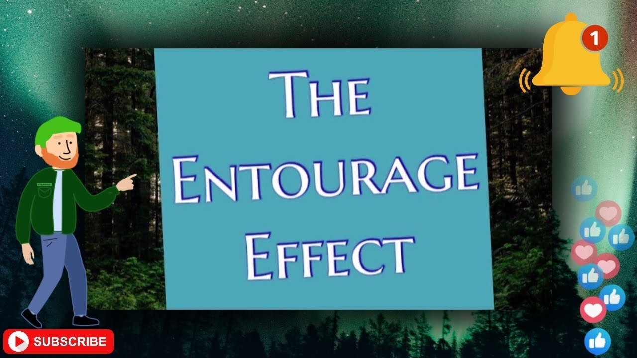 The Entourage Effect