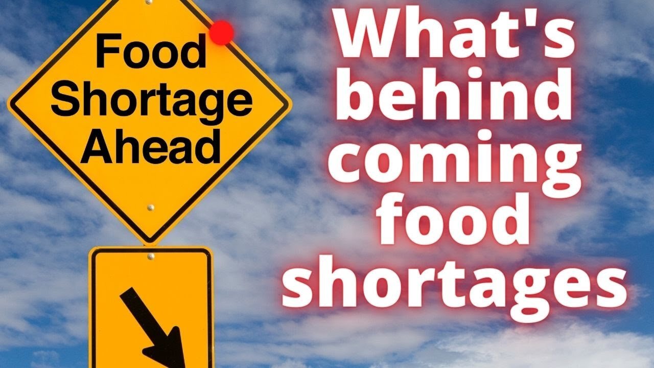 What's behind the coming FOOD SHORTAGES - Why is it happening?