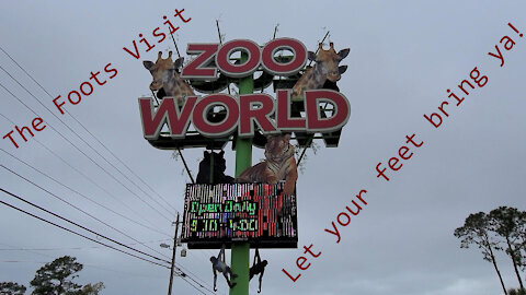 Zoo World PCB is visited by the Foots