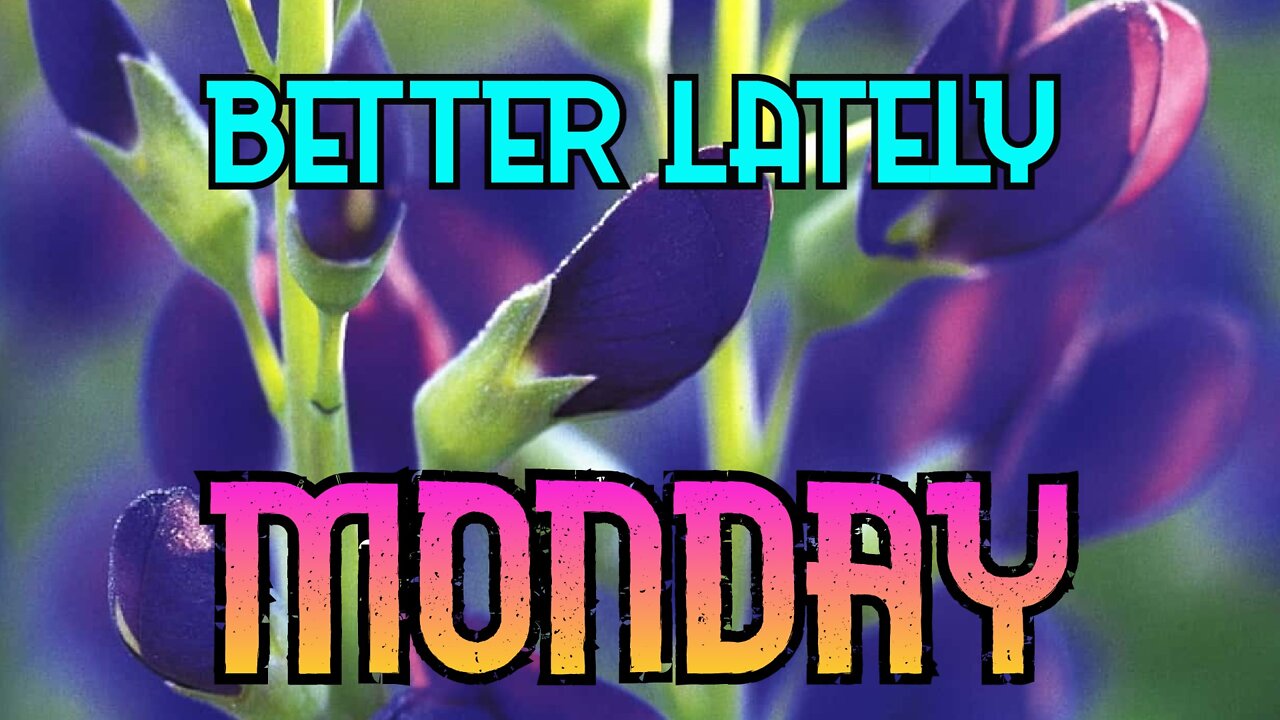 Better Lately - Monday