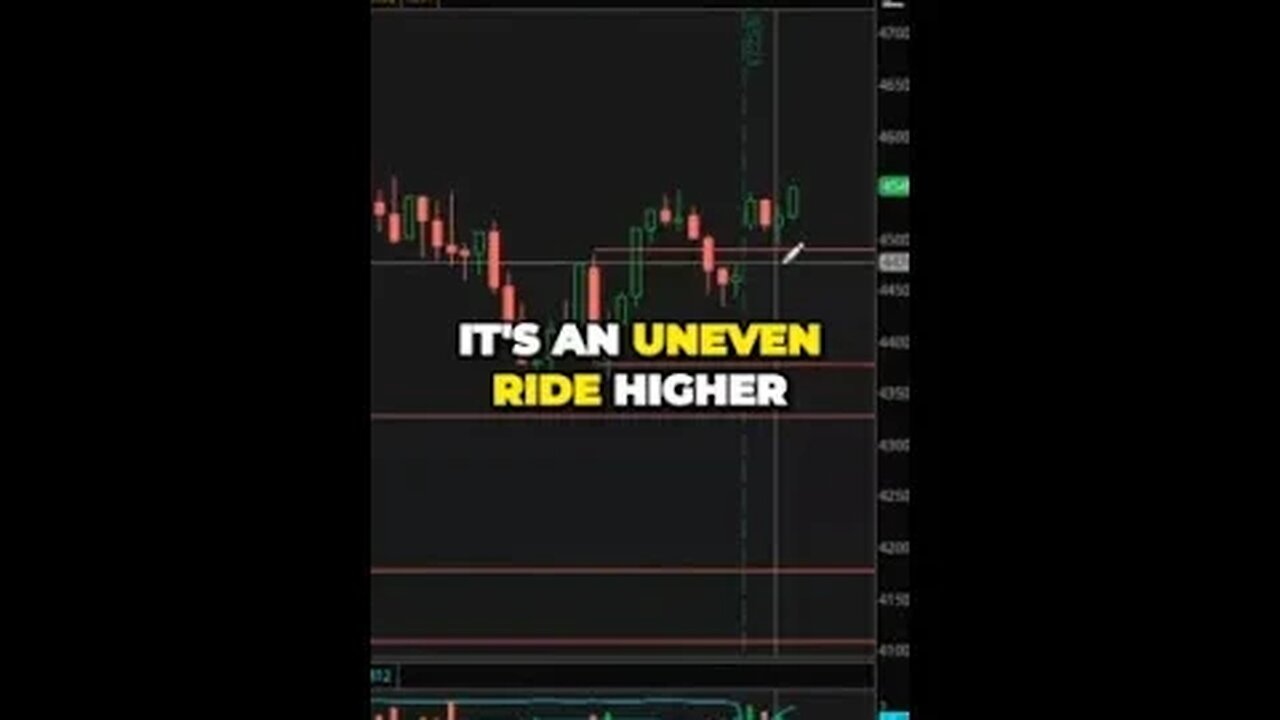 The Rollercoaster Stock Market Ride Profiting from Uncertainty