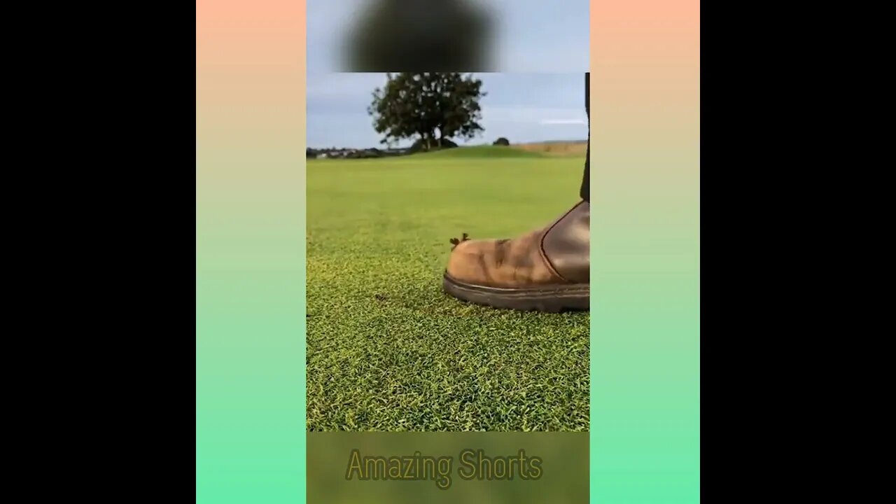 Amazing Grass Patchwork #short #shorts #shortvideo