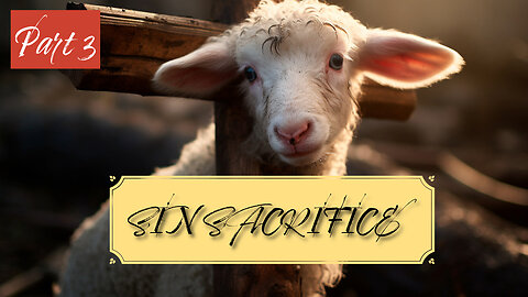 Sin Sacrifice (Leviticus Series Part 3)