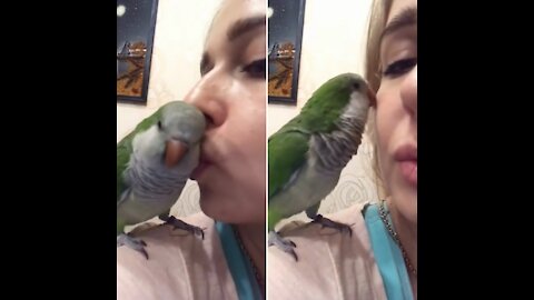 Bird kissmis