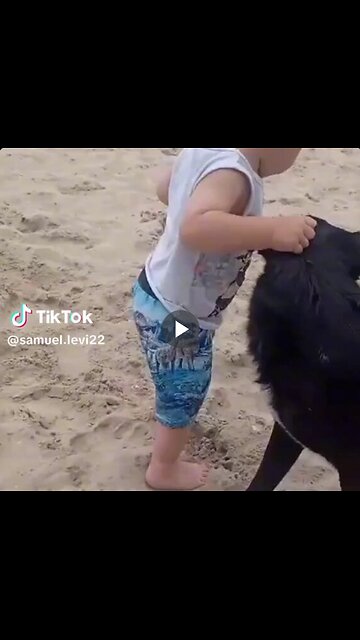 This is why dogs are our best friends. They keep our toddlers safe.