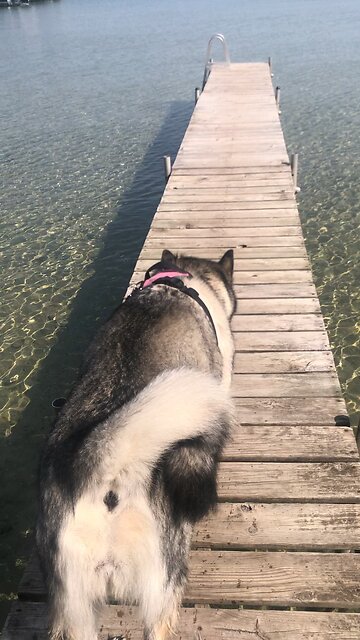 Thursday August 15, Observe the Sabbath.