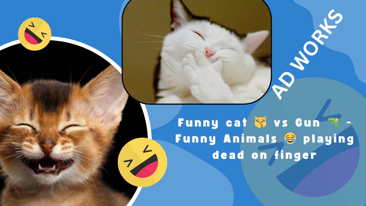 Funny cat 😽 vs Gun 🔫 - Funny Animals 😂 playing dead on finger