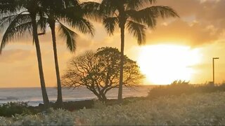 DECEMBER SUNSETS ARE INCREDIBLE AS WE NEAR THE WINTER SOLSTICE