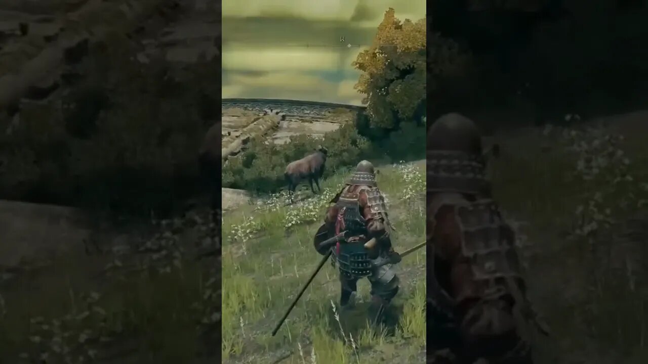 Que fuga é essa!? Elden Ring