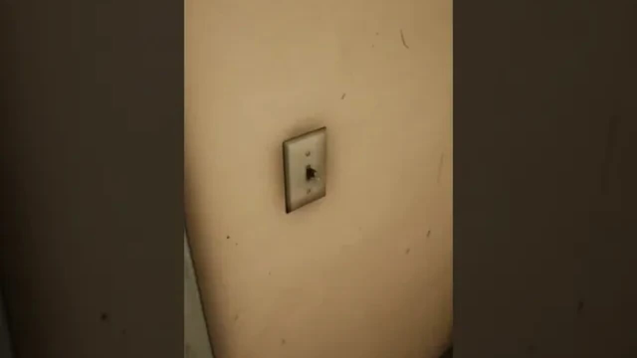 Holy macaroni , Oswald scared me.