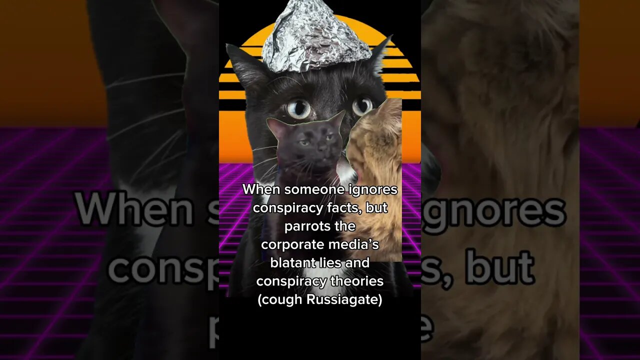 Conspiracy realists be likeđšto conspiracy theory NPCs #catmemes #shorts