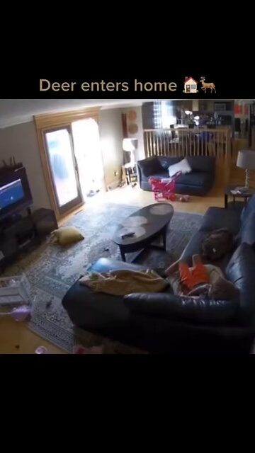 Who will believe him