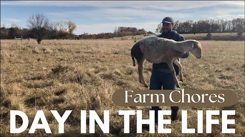 Day in the Life | Family Farm Chores