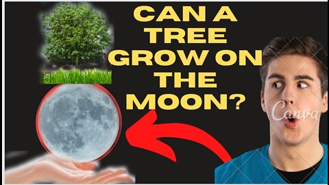 Can a tree grow on the moon? #shorts #naxday #moon #sun #moonlighte #sunlight #trees