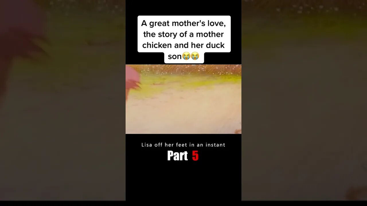 A great mother's love,the story of a mother chicken and her duck sonðŸ˜ðŸ˜ #movie #leafieahenintothewild