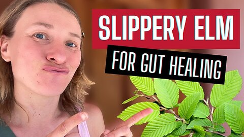 Slippery Elm for Gut Healing & Reflux: Does It Really Work?