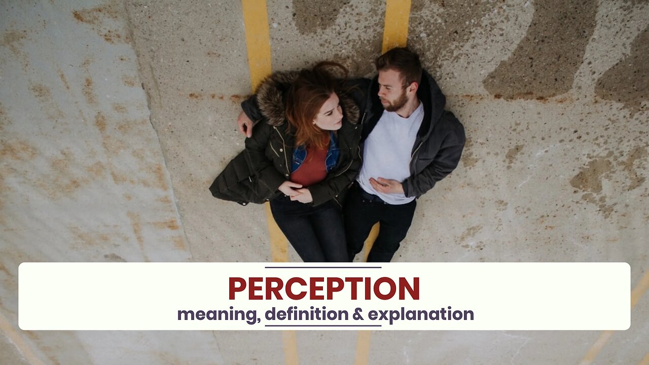 What is PERCEPTION?