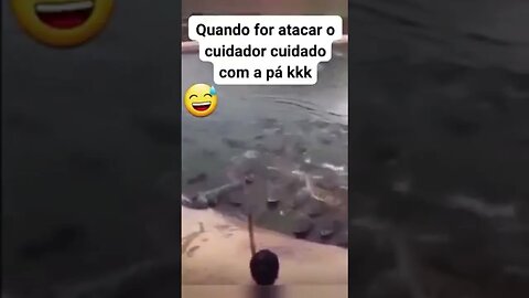 olha a paaaaa