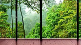 Relaxing Rain Sounds From Sunroom 3 Hours