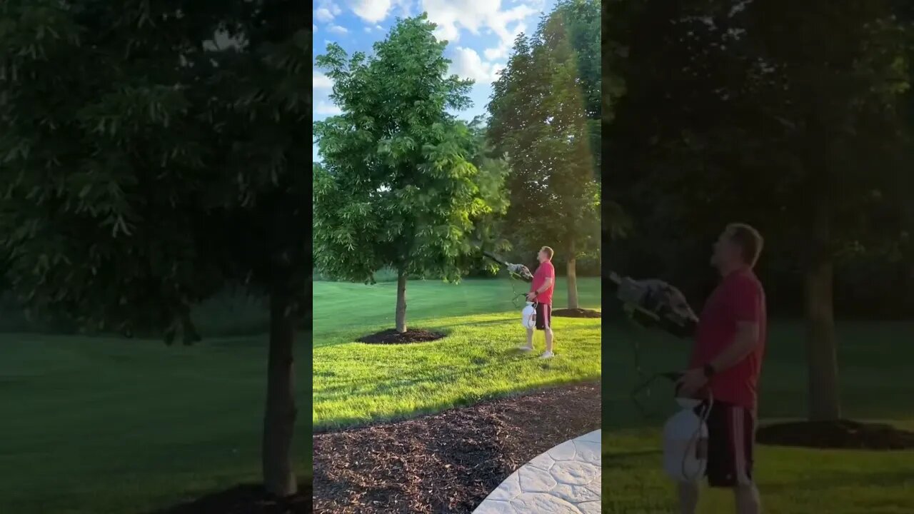 Unbelievable! The Mosquito Sniper from Amazon