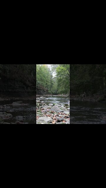 "Non-binary" may just be Gender Non-Conforming