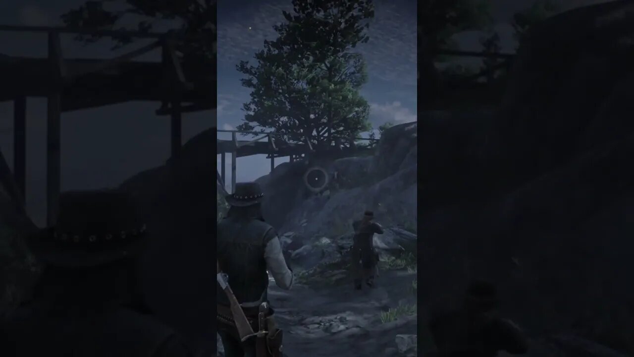 The Last Shot Was Niiiice - Red Dead Redemption 2 #shorts