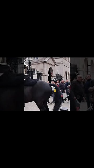 Tourist's You should have moved like 60 seconds ago #horseguardsparade