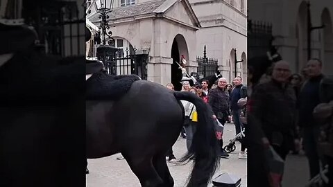 Tourist's You should have moved like 60 seconds ago #horseguardsparade