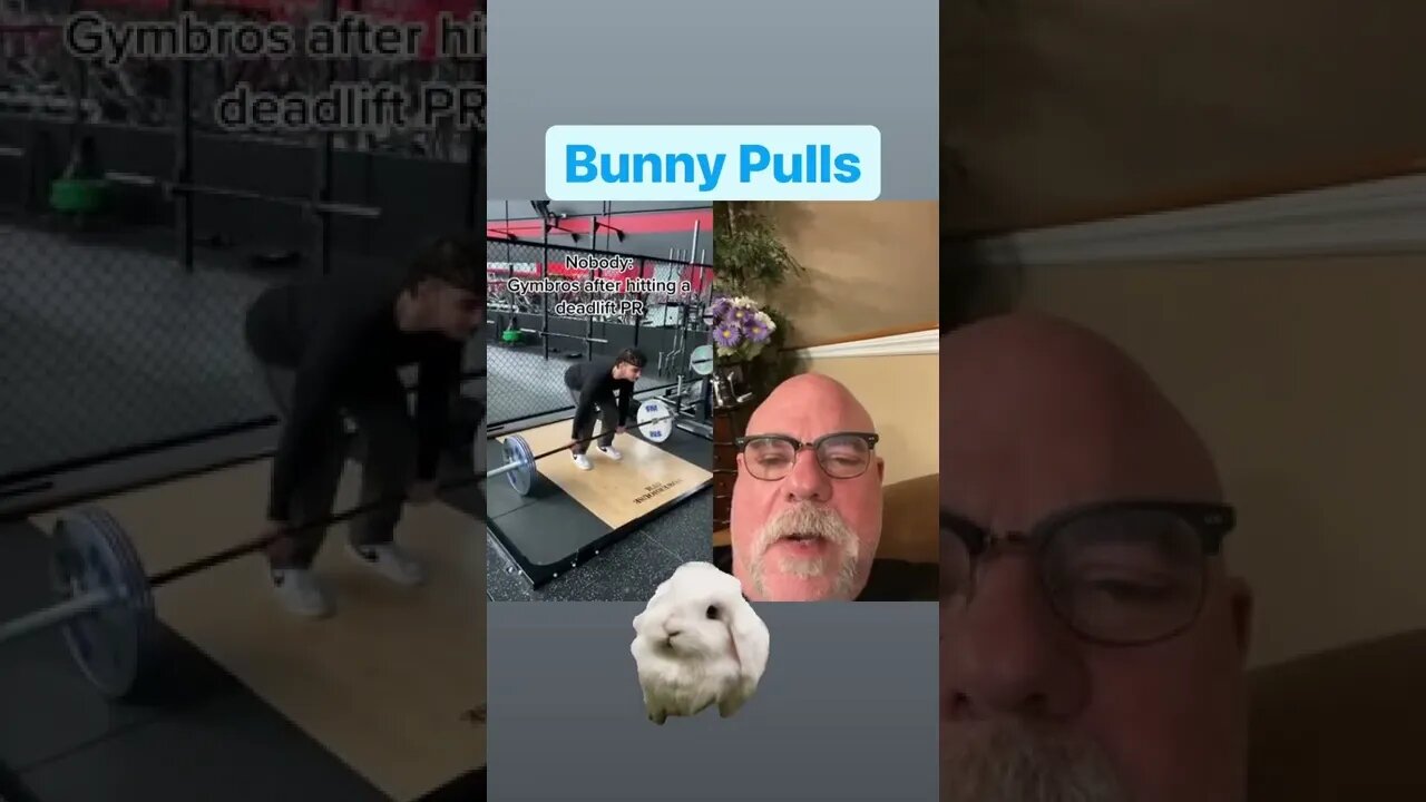 Bunny Pulls 🐰#shorts