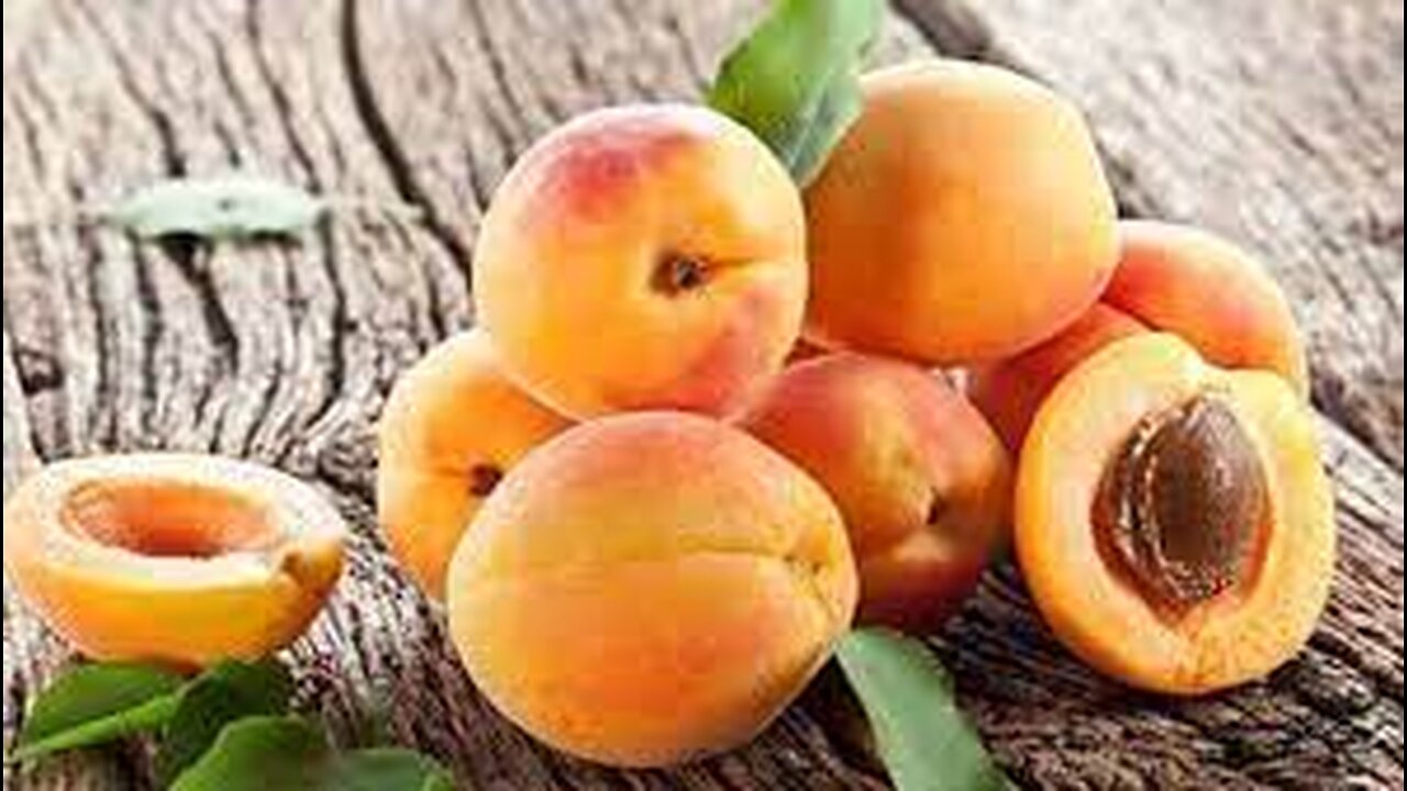 Apricot Seed Power