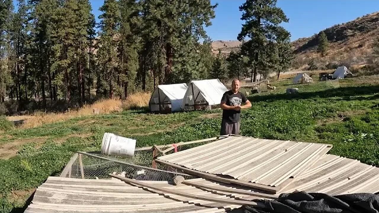 A Beautiful Day on The Homestead