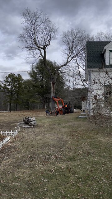 The half still standing