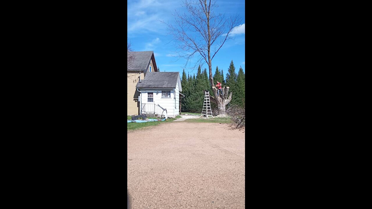 Jimmers tree drop